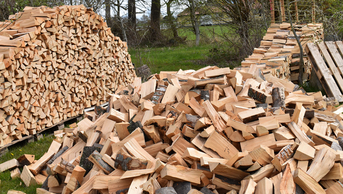 Bois A.A.Enlève Tout